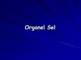 Organel Sel