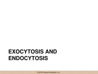Exocytosis and endocytosis