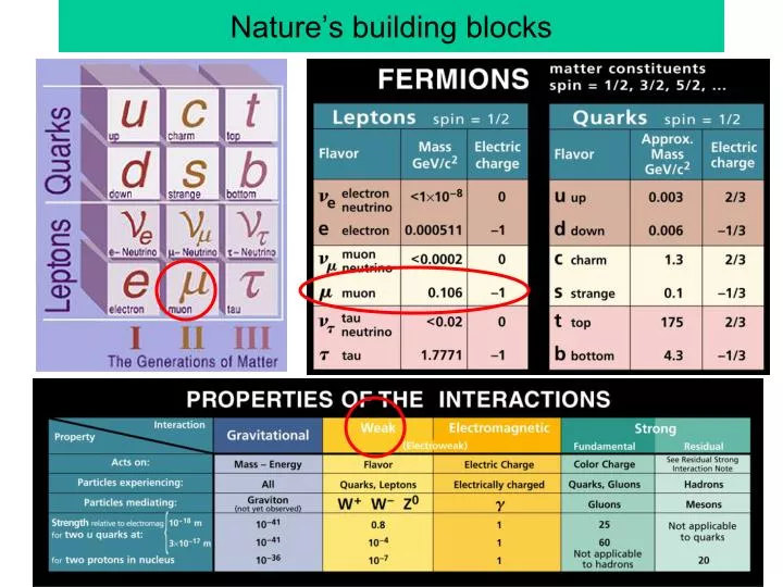 nature s building blocks