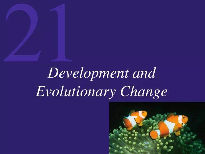 development and evolutionary change