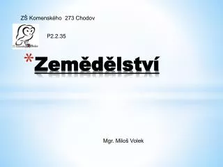 zem d lstv