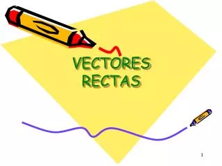 vectores rectas