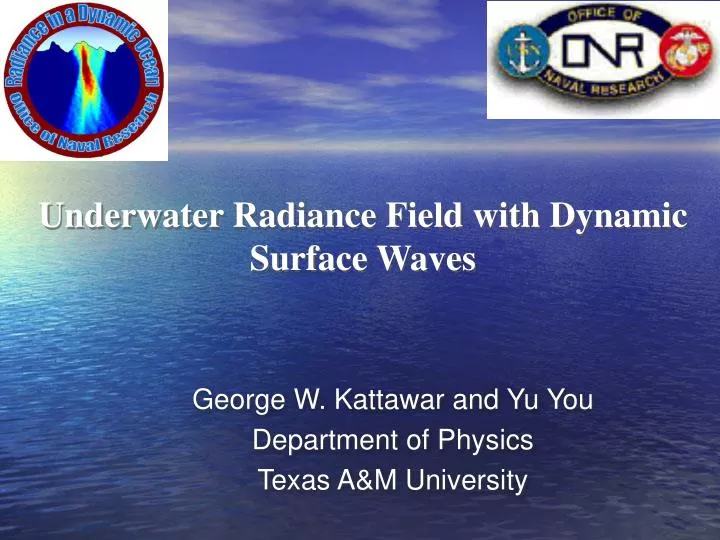 underwater radiance field with dynamic surface waves