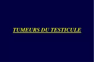 tumeurs du testicule