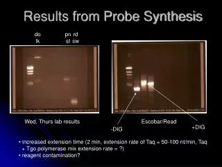 Results from Probe Synthesis