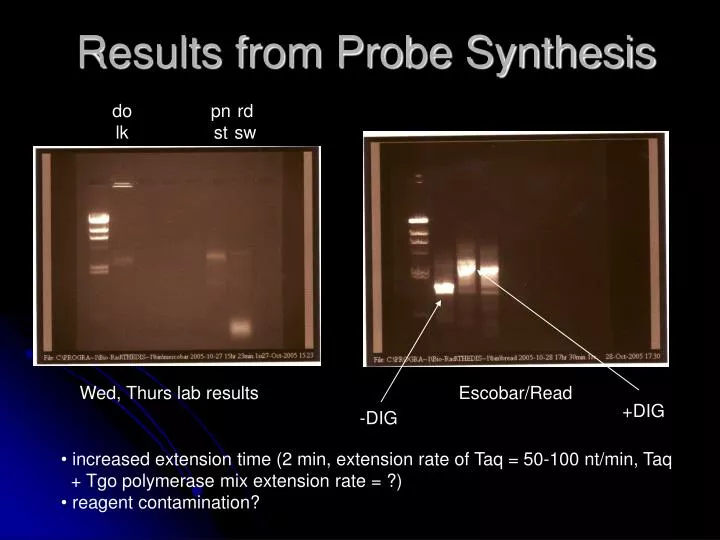 results from probe synthesis