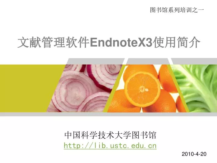 endnotex3