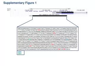 Supplementary Figure 1