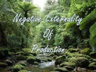 Negative Externality Of Production