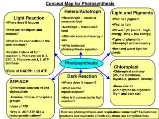 Concept Map for Photosynthesis