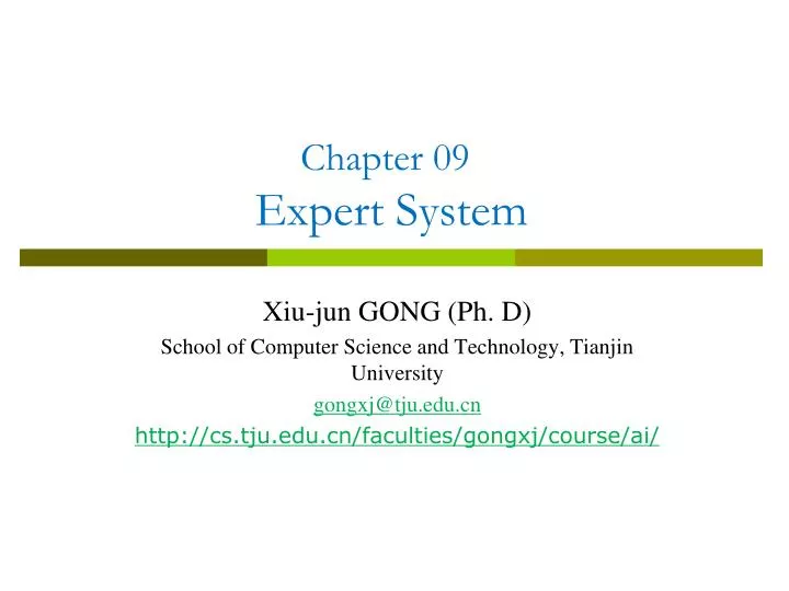 chapter 09 expert system