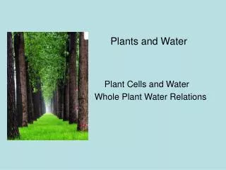 Plants and Water