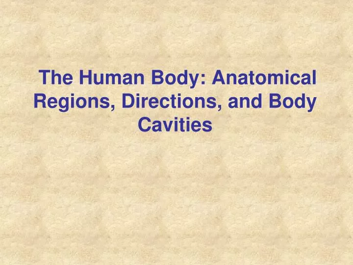 the human body anatomical regions directions and body cavities