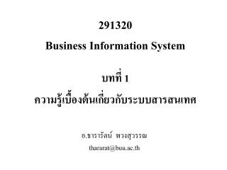 291320 business information system