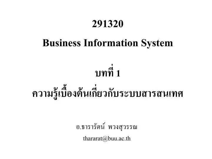 291320 business information system