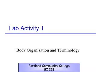 Lab Activity 1