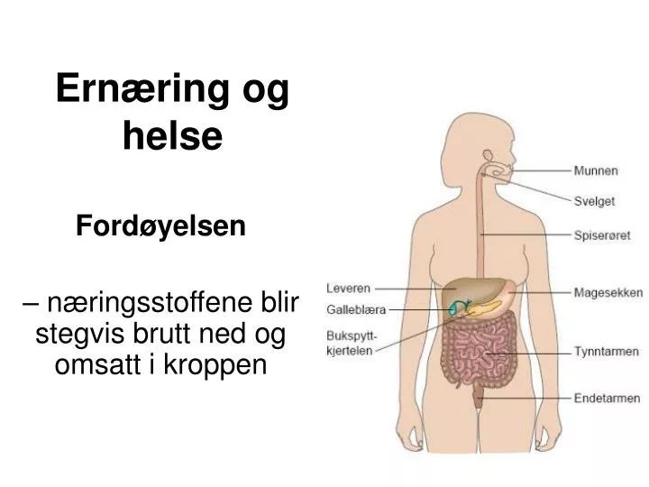 ern ring og helse