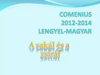 comenius 2012 2014 lengyel magyar