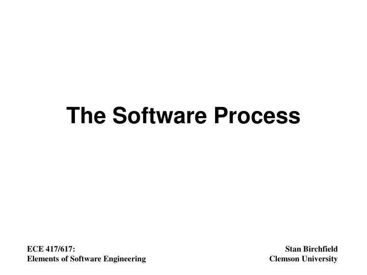 the software process