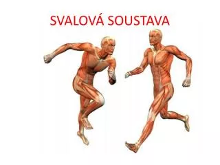 svalov soustava