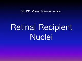 VS131 Visual Neuroscience