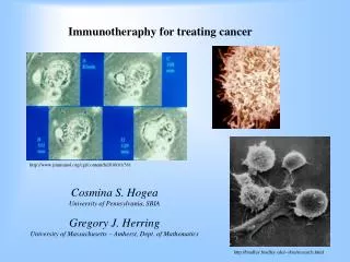 Immunotheraphy for treating cancer