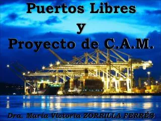 puertos libres y proyecto de c a m