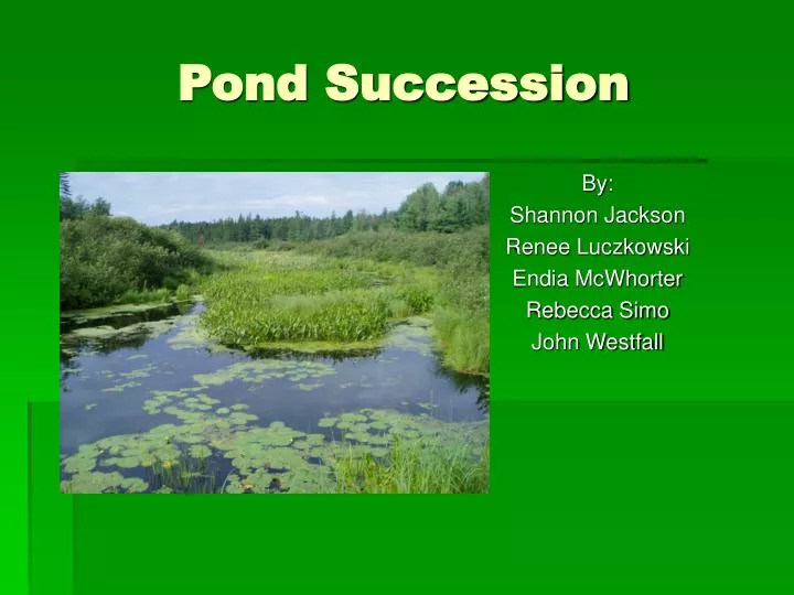 pond succession