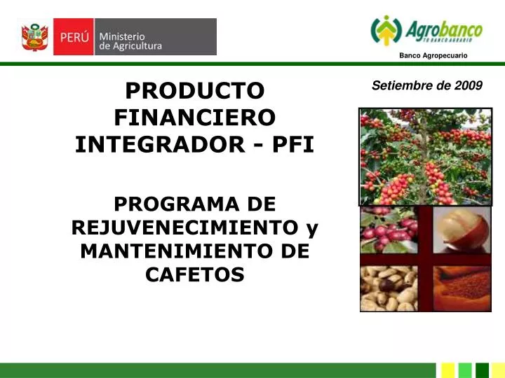 programa de rejuvenecimiento y mantenimiento de cafetos