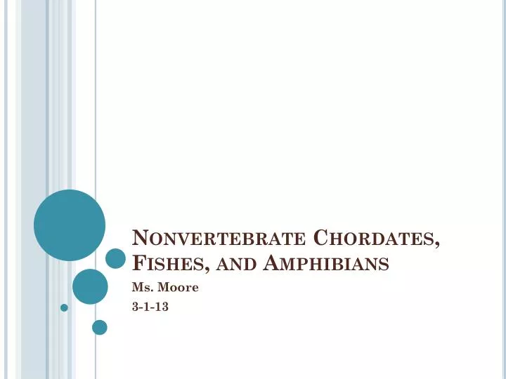 nonvertebrate chordates fishes and amphibians