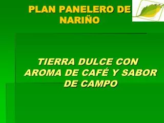 PLAN PANELERO DE NARIÑO