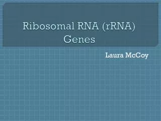 Ribosomal RNA ( rRNA ) Genes