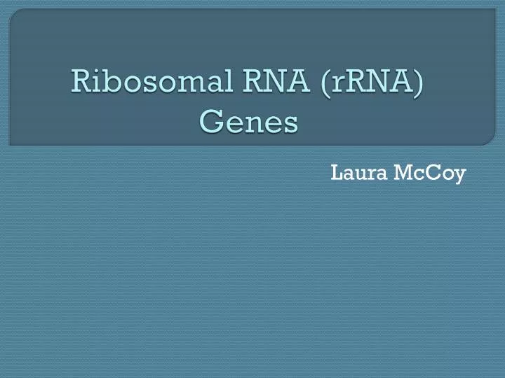 ribosomal rna rrna genes