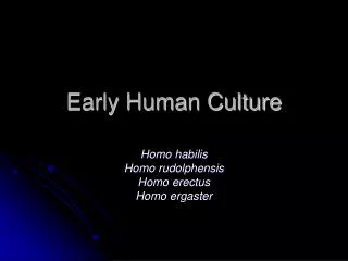 Early Human Culture