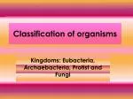 Classification of organisms