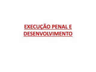 execu o penal e desenvolvimento