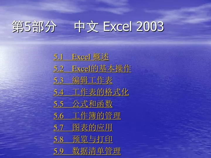 5 excel 2003