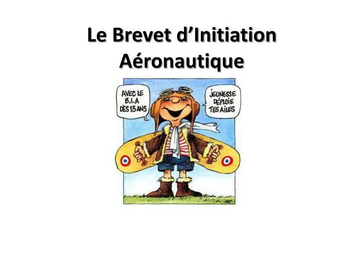 le brevet d initiation a ronautique