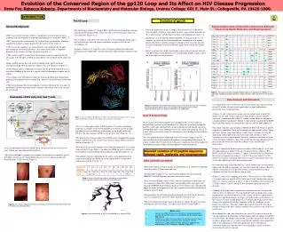 Evolution of the Conserved Region of the gp120 Loop and Its Affect on HIV Disease Progression