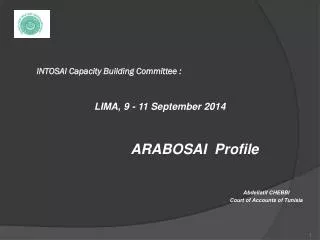 INTOSAI Capacity Building Committee :