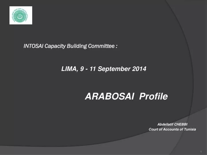 intosai capacity building committee