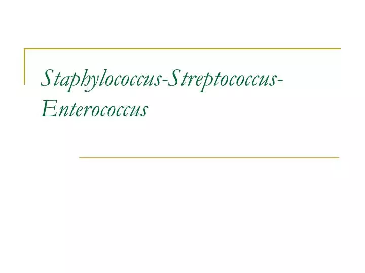 staphylococcus streptococcus enterococcus