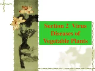 Section 2 Virus Diseases of Vegetable Plants