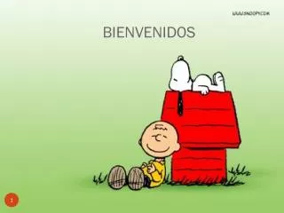 bienvenidos