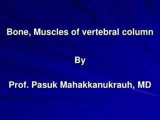 Bone, Muscles of vertebral column