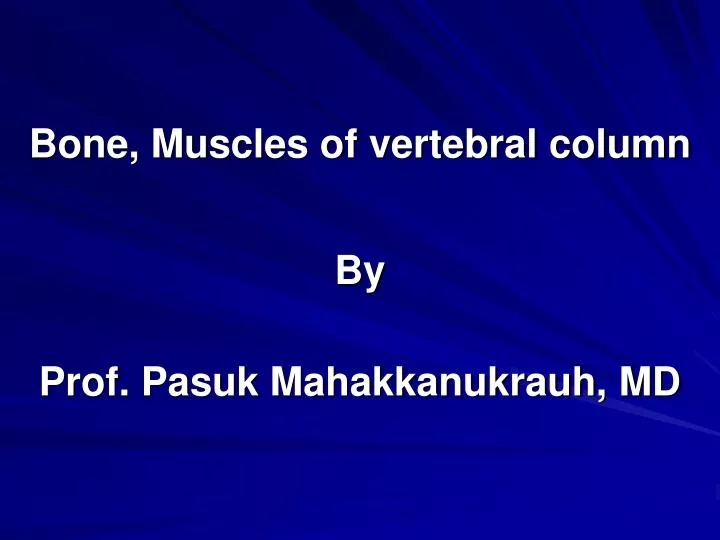 bone muscles of vertebral column