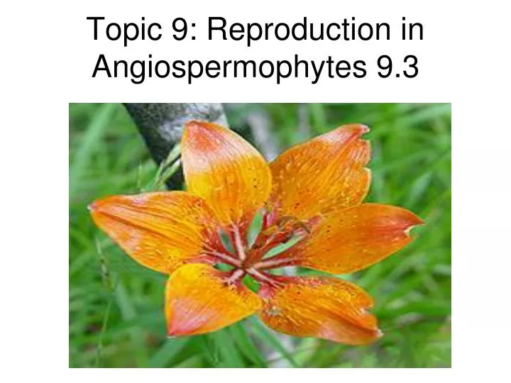 topic 9 reproduction in angiospermophytes 9 3