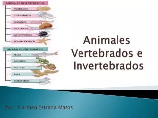 animales vertebrados e invertebrados