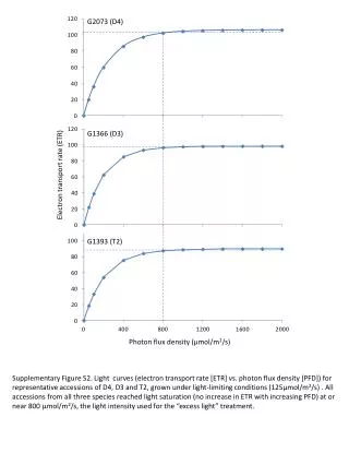 Electron transport rate (ETR)