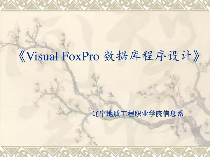 visual foxpro